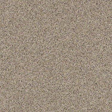 Carmel Coast Residential Carpet