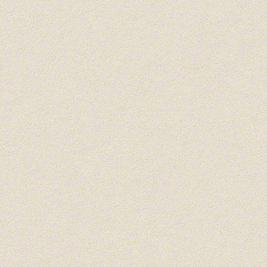 Perfect Choice Residential Carpet