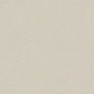 Perfect Choice Residential Carpet