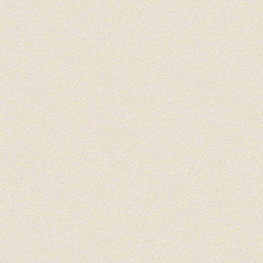 Perfect Choice Residential Carpet