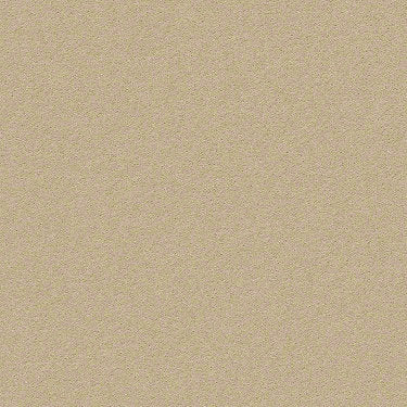 Perfect Choice Residential Carpet