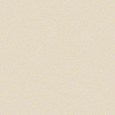 Perfect Choice Residential Carpet