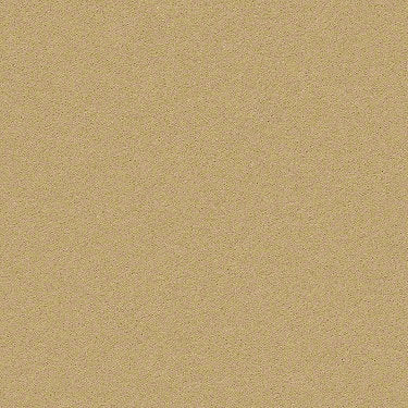 Perfect Choice Residential Carpet