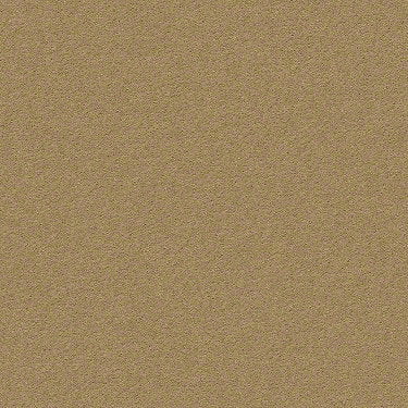 Perfect Choice Residential Carpet