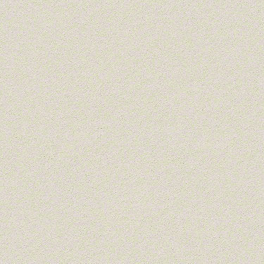 Perfect Choice Residential Carpet
