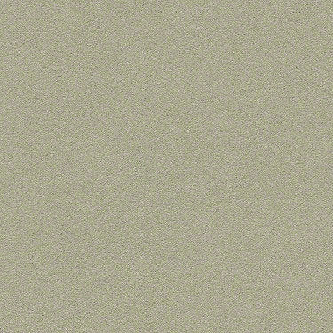 Perfect Choice Residential Carpet