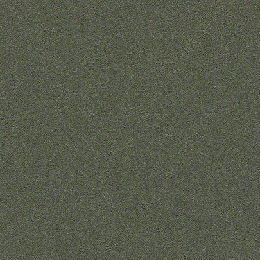 Perfect Choice Residential Carpet