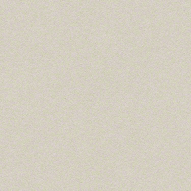 Perfect Choice Residential Carpet