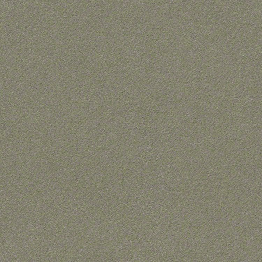 Perfect Choice Residential Carpet