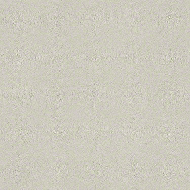 Perfect Choice Residential Carpet