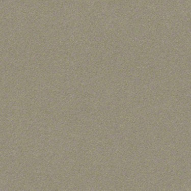 Perfect Choice Residential Carpet
