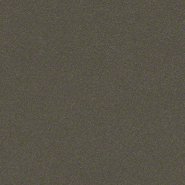Perfect Choice Residential Carpet