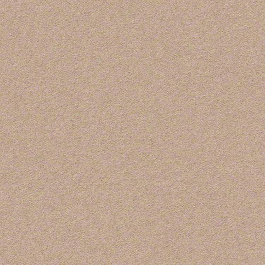 Perfect Choice Residential Carpet