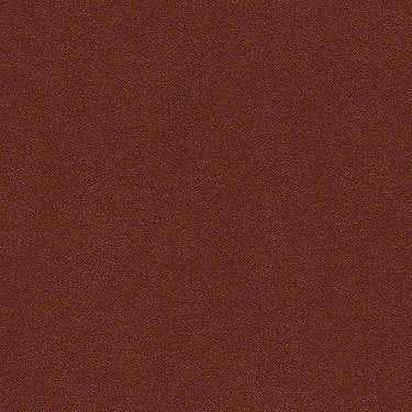 Perfect Choice Residential Carpet