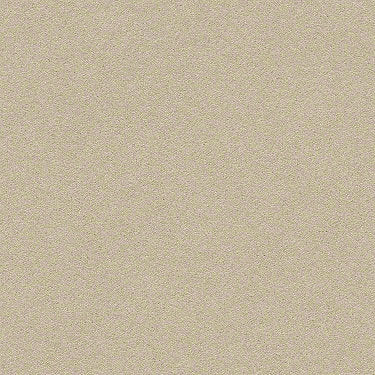 Perfect Choice Residential Carpet