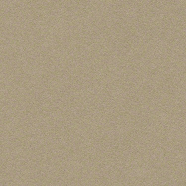 Perfect Choice Residential Carpet