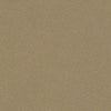 Perfect Choice Residential Carpet