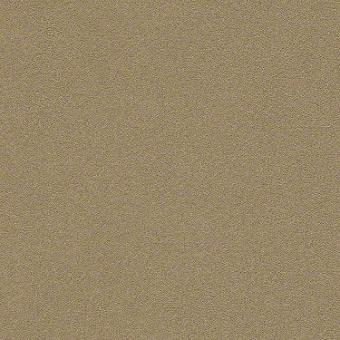 Perfect Choice Residential Carpet