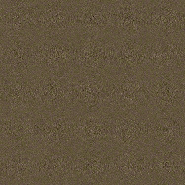 Perfect Choice Residential Carpet