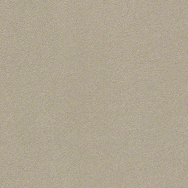 Perfect Choice Residential Carpet