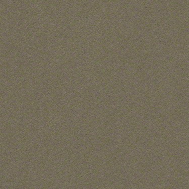 Perfect Choice Residential Carpet