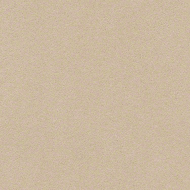 Perfect Choice Residential Carpet