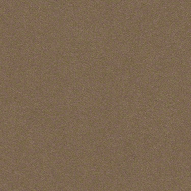 Perfect Choice Residential Carpet