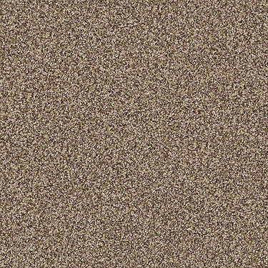 Terra Linda Residential Carpet
