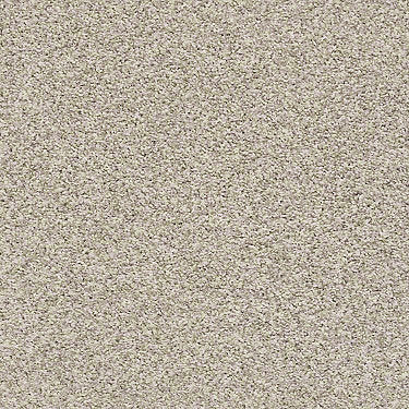 Ensemble Residential Carpet