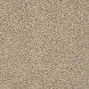 Ensemble Residential Carpet