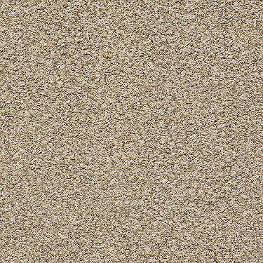 Ensemble Residential Carpet