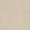 Ensemble Residential Carpet
