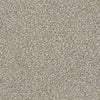 Ensemble Residential Carpet