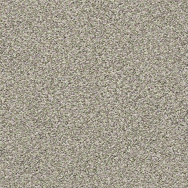 Ensemble Residential Carpet