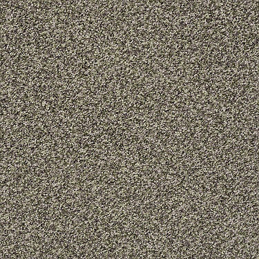 Ensemble Residential Carpet