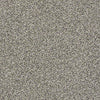 Ensemble Residential Carpet