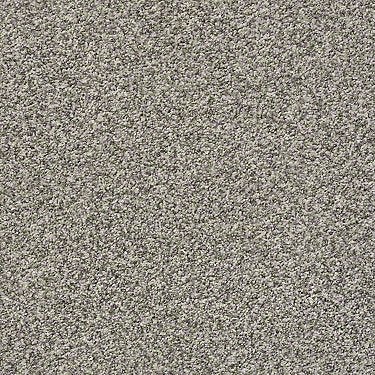 Ensemble Residential Carpet