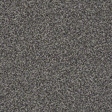 Ensemble Residential Carpet