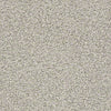 Ensemble Residential Carpet