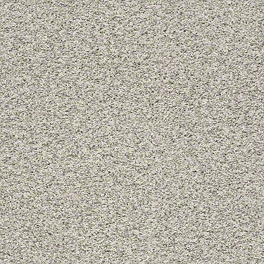 Ensemble Residential Carpet
