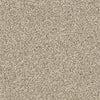 Ensemble Residential Carpet
