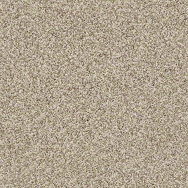 Ensemble Residential Carpet
