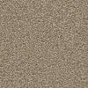Ensemble Residential Carpet