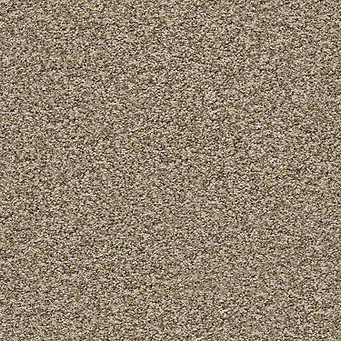 Ensemble Residential Carpet
