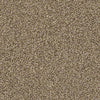 Ensemble Residential Carpet