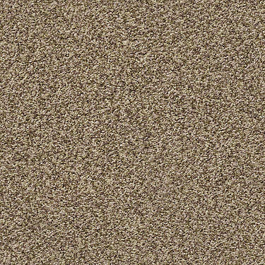 Ensemble Residential Carpet