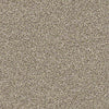 Ensemble Residential Carpet