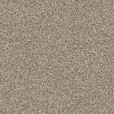 Ensemble Residential Carpet