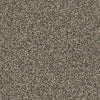 Ensemble Residential Carpet