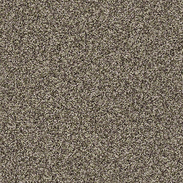 Ensemble Residential Carpet